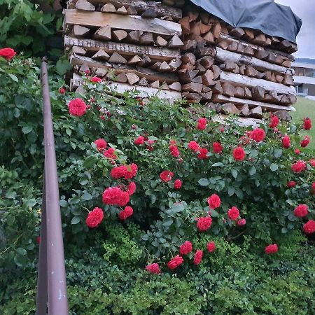 דירות Schlins Dreamlandranch Vorarlberg מראה חיצוני תמונה